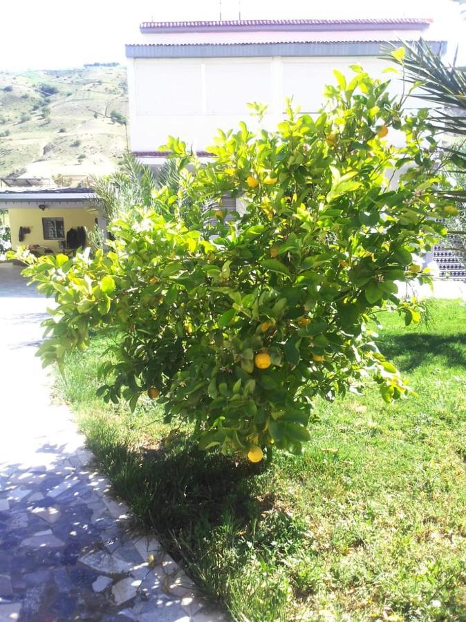 Belle Maison Au Coeur Des Montagnes De Taza A Moins De 10 Minutes De L'Agora Park Βίλα Εξωτερικό φωτογραφία