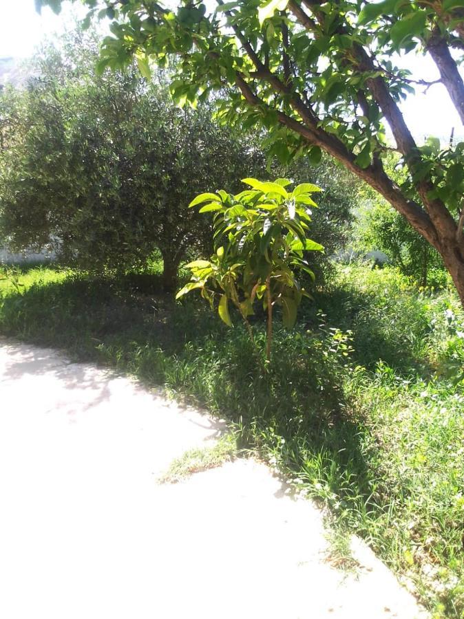 Belle Maison Au Coeur Des Montagnes De Taza A Moins De 10 Minutes De L'Agora Park Βίλα Εξωτερικό φωτογραφία